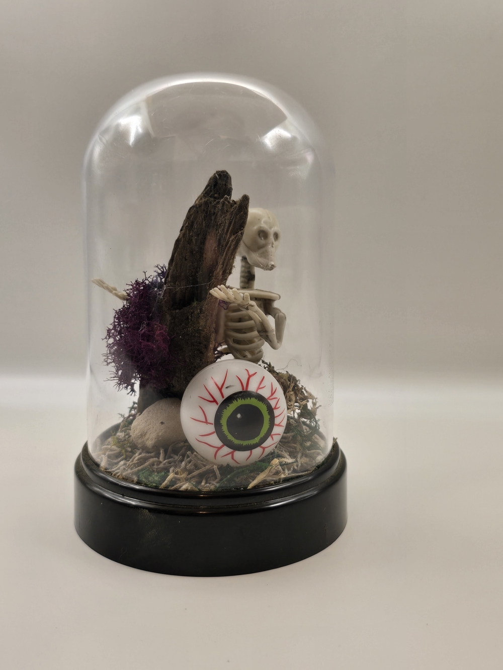 Skeleton & Eyeball Terrarium